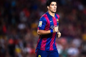 爱游戏中国官方网站平台-爱尔兰加强体育发展，橄榄球项目受益，爱尔兰篮球联赛