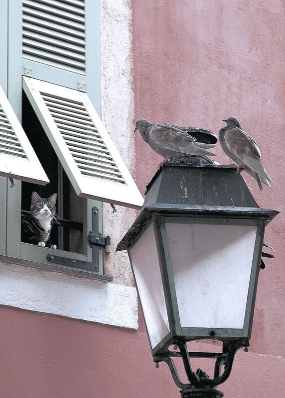 “战术大比拼:两支强队的攻守大变革带来什么样的结果?”