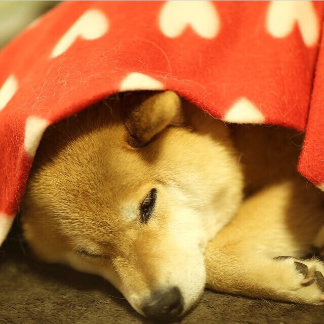 “疾速碰撞:惊心动魄的激烈冲撞”,疾速tti