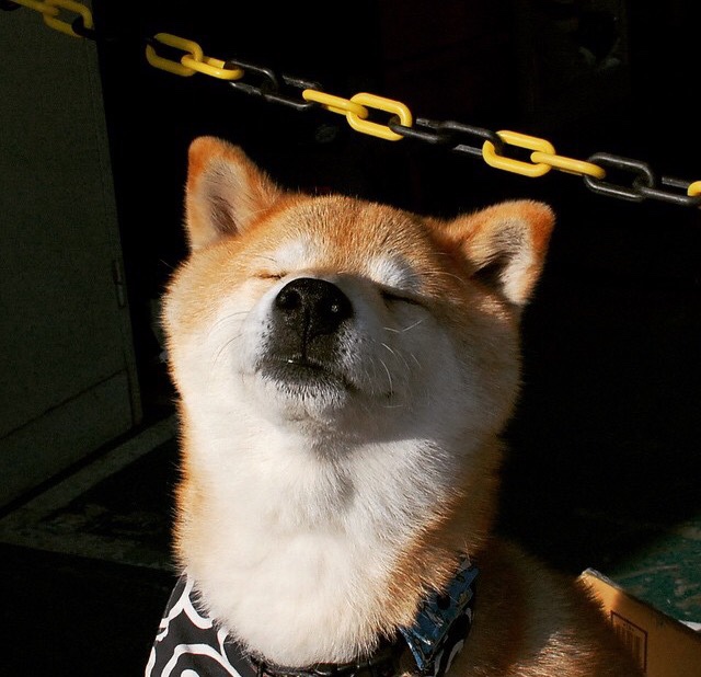 战术体现：快攻与外线精准投射成胜负关键！，快攻战术的运用范围